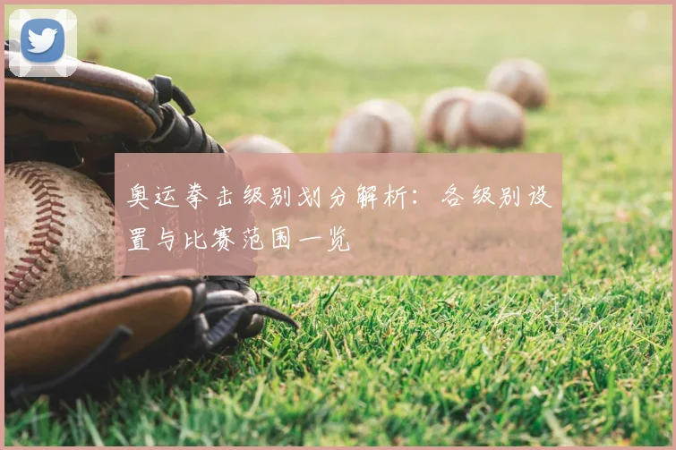 奥运拳击级别划分解析:各级别设置与比赛范围一览