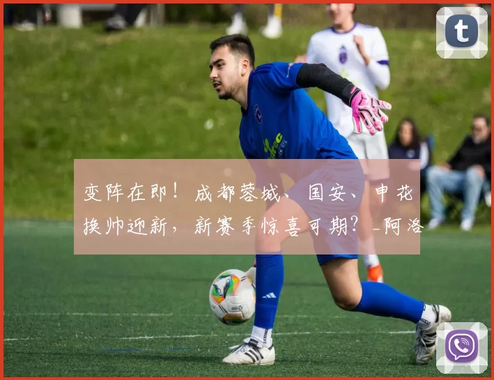 变阵在即！成都蓉城、国安、申花换帅迎新，新赛季惊喜可期？_阿洛伊西得_教练_事儿