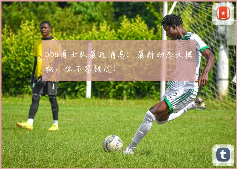 nba勇士队最近消息：最新动态大揭秘，你不容错过！